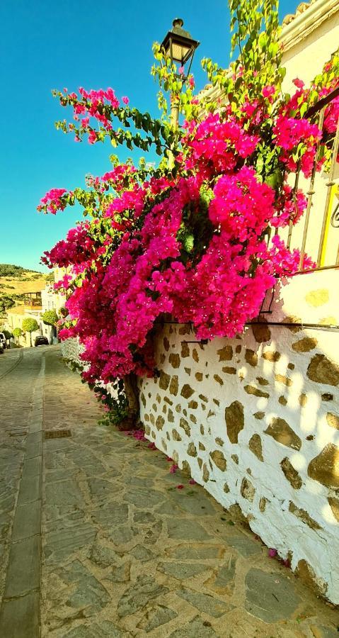 Preciosa casa de pueblo entre Ronda y Setenil La Posada de Catalina Montecorto Exterior foto
